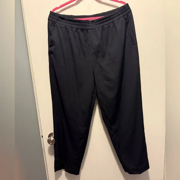 Everlane Italian GoWeave 100% Wool Pull-On Ankle Pant in Black - Size 16 - Picture 3 of 12